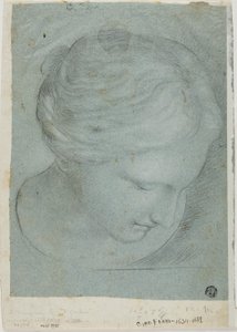 Sculpted Female Head by Ciro Ferri