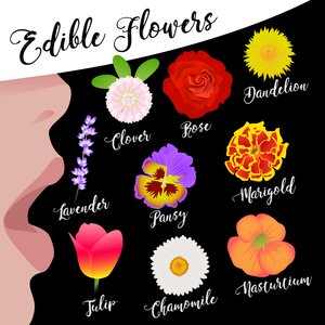 Edible Flowers by Claire Huntley