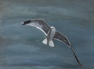 Seagull Soaring Over Water