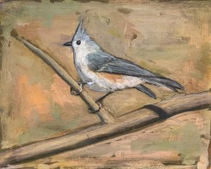 Tufted Titmouse Perched by Claire Lerner