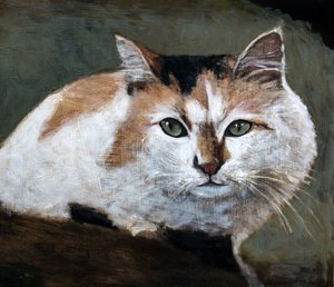 Watchful Calico Cat