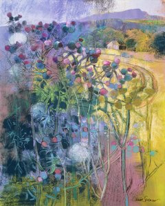 The Wild Beauty of Clee by Claire Spencer