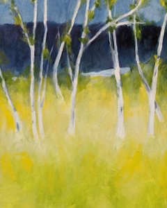 Serene Birch Meadow by Claire Whitehead