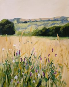 Wildflower Field Hills by Claire Whitehead