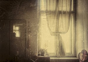 Sunlit Vintage Window