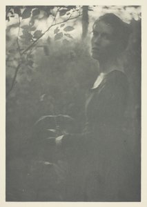 Edge of Woods by Clarence H. White