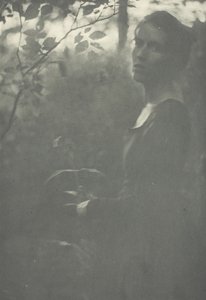 Edge of Woods
