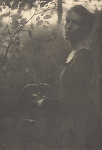 Edge of the Woods, Evening, 1900