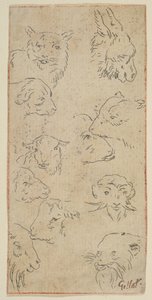 Study of Animal Heads, n.d. by Claude Gillot