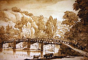 Wooded landscape