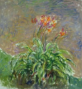 Hemerocallis by Claude Monet