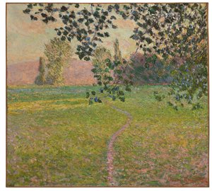 Morning Landscape