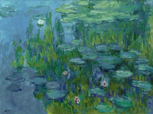 Water Lilies