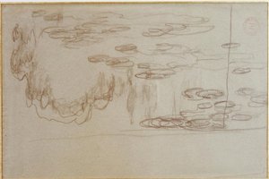 Water Lilies