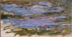 Water Lilies