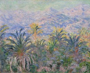 Palm Trees at Bordighera