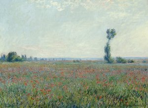 Poppy Field, 1881 by Claude Monet