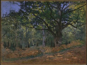 The Bodmer Oak, Fontainebleau Forest, 1865 by Claude Monet