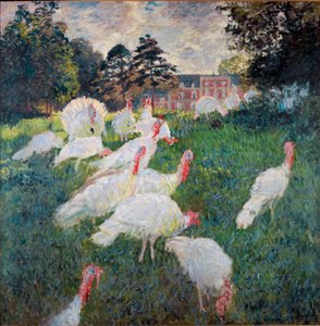 Turkeys