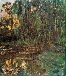 View of the Water Lily Pond with Willow
