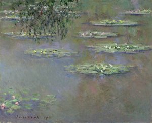 Waterlilies, 1903