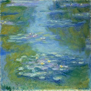 Waterlilies