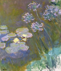 Waterlilies and Agapanthus by Claude Monet