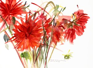 Dahlias by Claudia Hutchins Puechavy