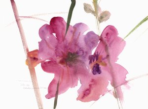 Hollyhocks, 1988