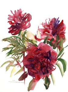 Peonies, 2002 by Claudia Hutchins Puechavy
