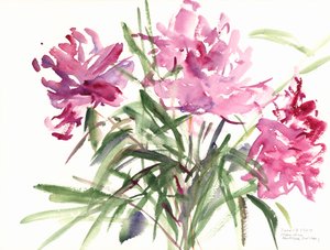 Peonies, 2004