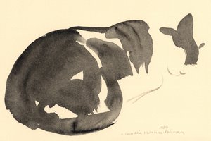 Sleeping cat, 1984