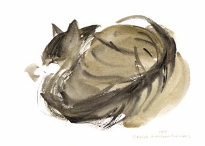 Sleeping cat