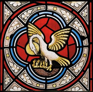 The Pelican in her Piety