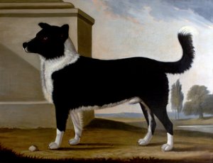 Lord Byron