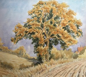 Harvest Sunset, North Denford