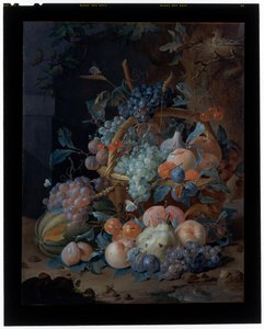 Flower still life