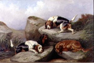 Otterhounds, 1889