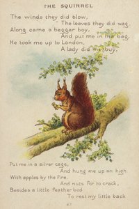 Nursery rhyme: The Squirrel