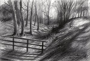Forest Path Sketch