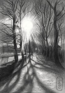 Path of Winter Light by Corné Akkers