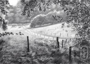 Peaceful Countryside Path