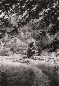 Peaceful Forest Path by Corné Akkers