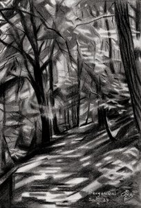 Sunlit Forest Path