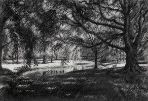 Sunlit Park Path by Corné Akkers