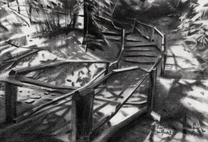 Winding Forest Stairs