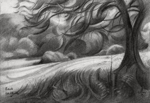 Winding Tree Path