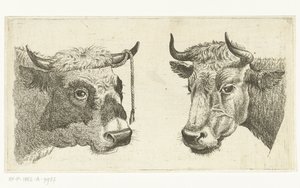Head of a Bull with Rope on Horn and Head of a Cow