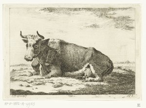 Landscape with Lying Horned Cow