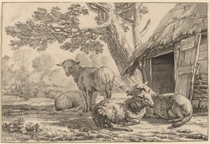Sheepcote by Cornelis Brouwer